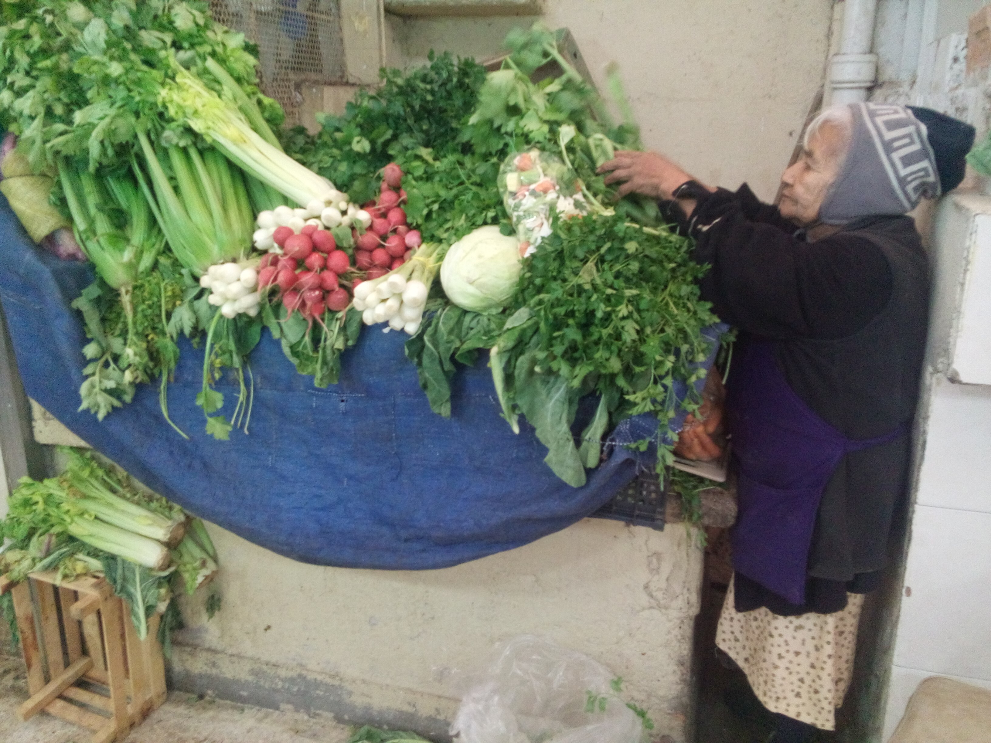 Inés una mujer sola, de edad avanzada; pero con muchas ganas de luchar