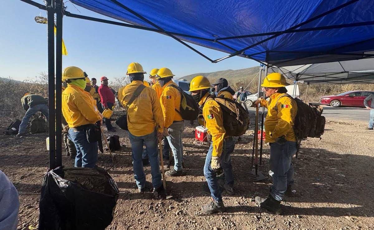 Avanzan brigadistas en la liquidación de incendios forestales en SLP; registran 11 en últimas semanas