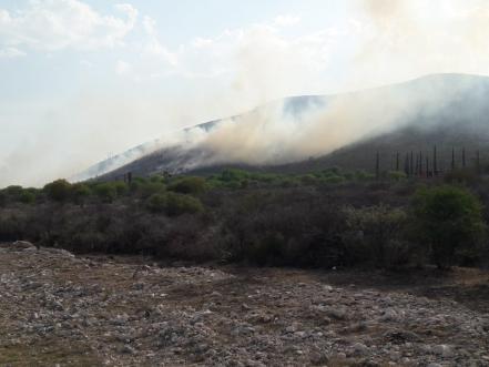 Continúan incendios forestales en Altiplano potosino