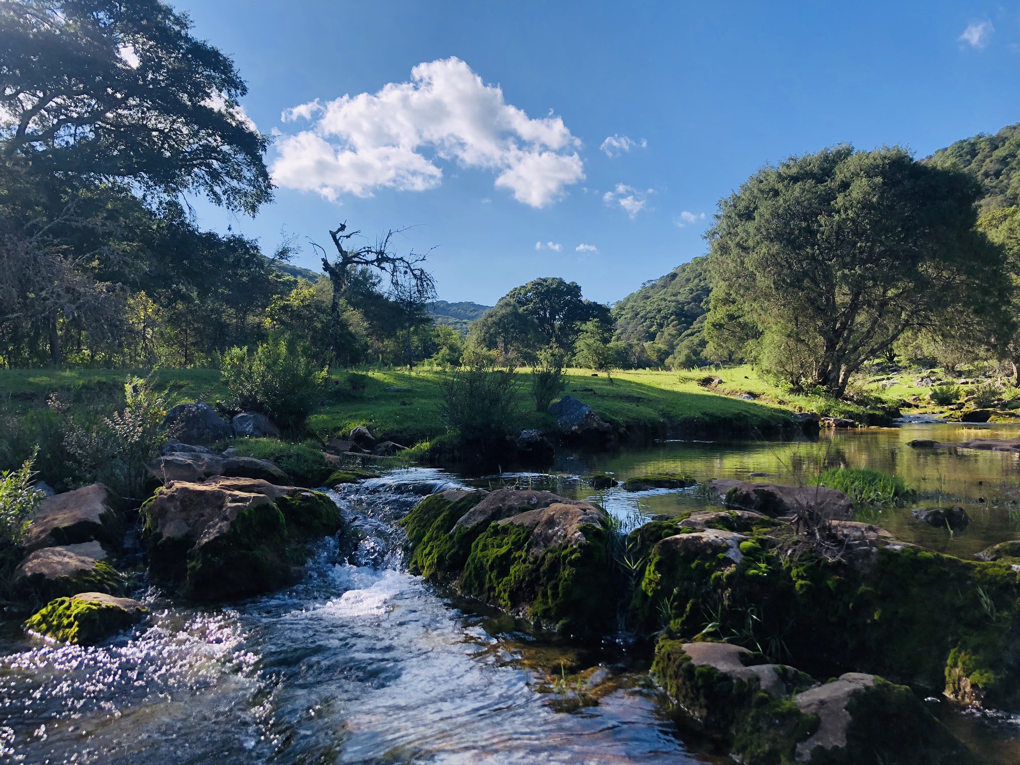 Foto: X @pbenaventeg.