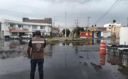 Tras fuertes lluvias, se reportan caída de árboles y bardas en Soledad y San Luis Potosí