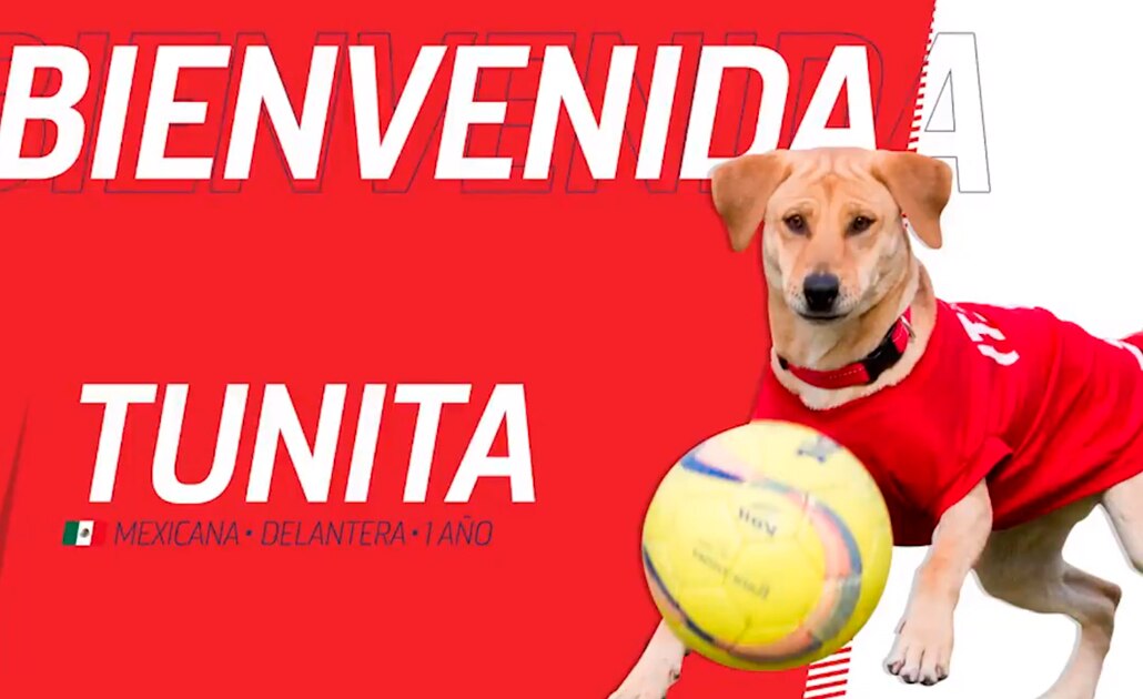 Foto: Captura de video