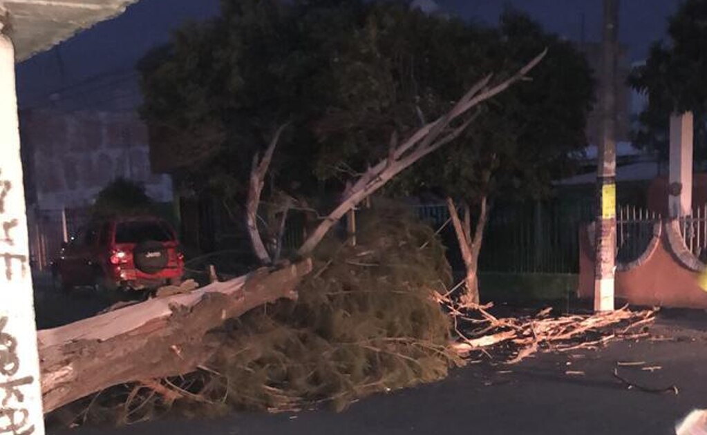 Atienden en Soledad reportes de emergencia por fuertes vientos