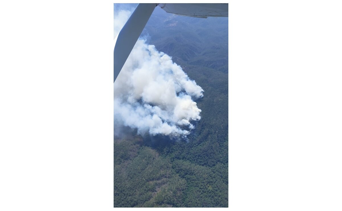 Condiciones climáticas causan más incendios en SLP; Protección Civil registra seis