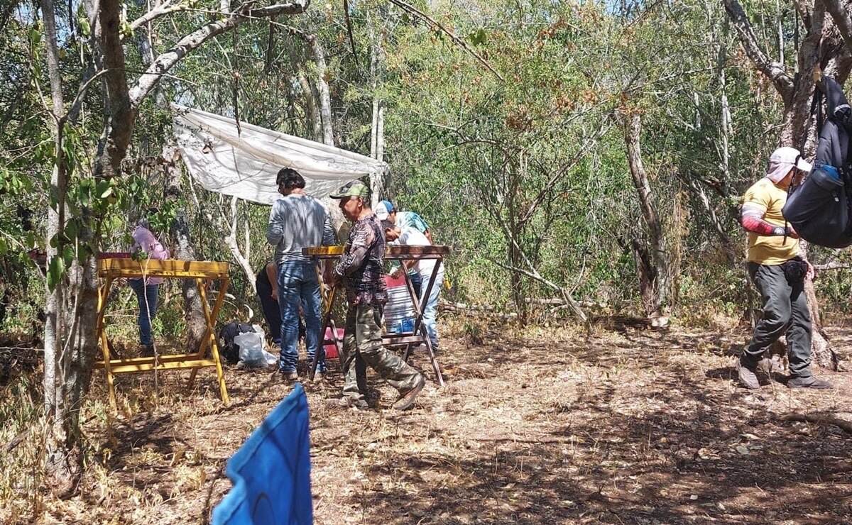 “Acabo de rescatar una base de cráneo y un fémur”; buscadoras han hallado restos de 6 personas en finca en la Huasteca