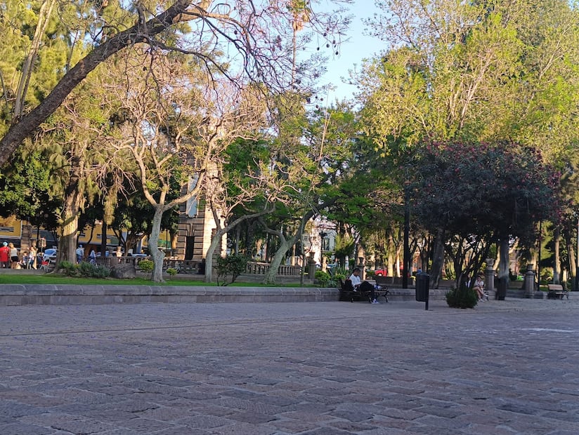 Foto: Jazmín Ramírez García