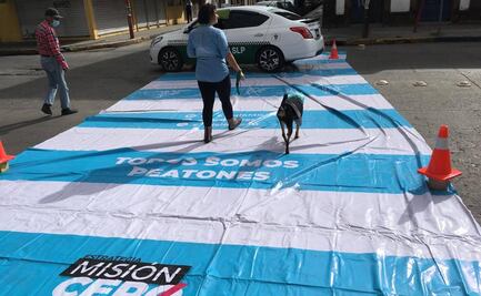 Día Mundial Sin Auto. Adultos, niños y hasta mascotas celebran así esta fecha en San Luis Potosí 