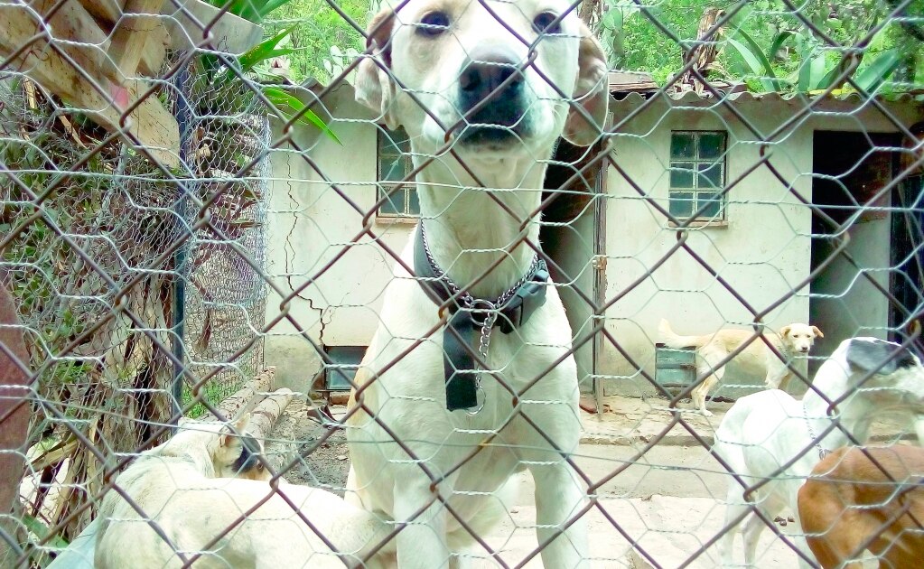 Foto: Archivo / El Universal