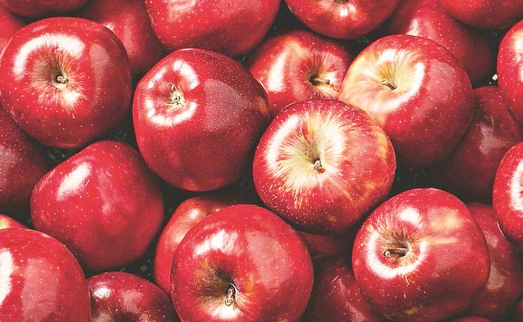 Aprovecha tus manzanas para hacer mermeladas 