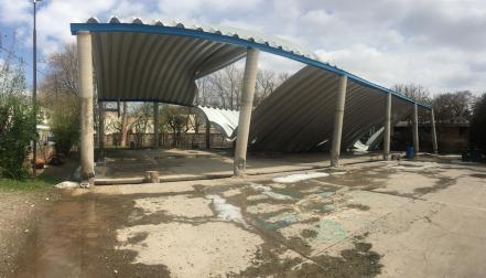 Reportan daños por tromba en Venado