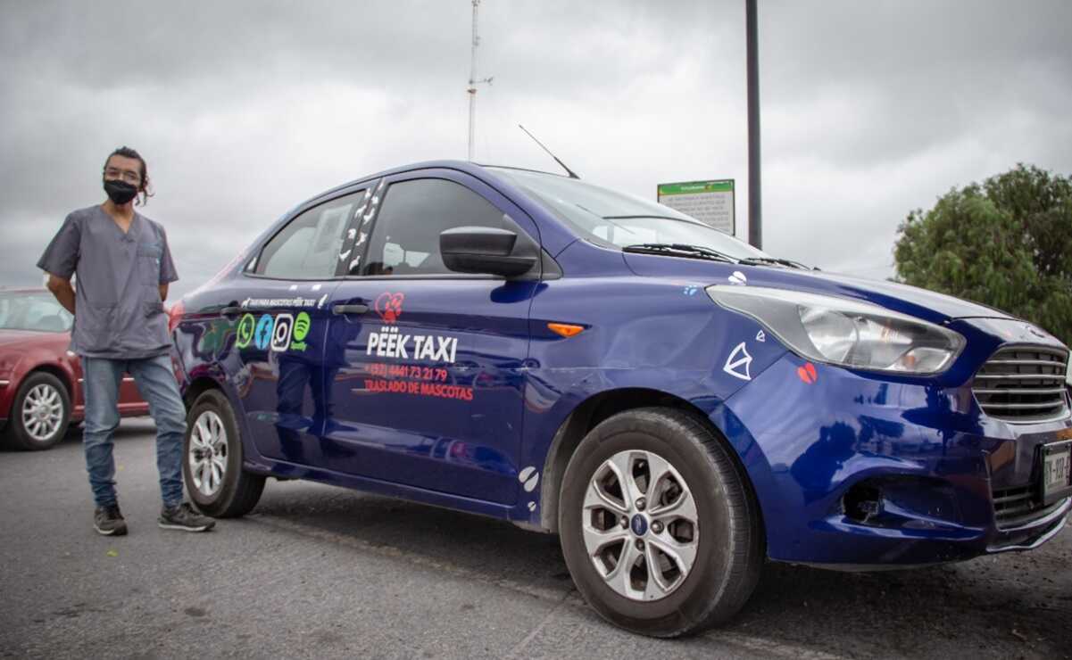 Peek Taxi, traslado cómodo y seguro para mascotas en San Luis Potosí