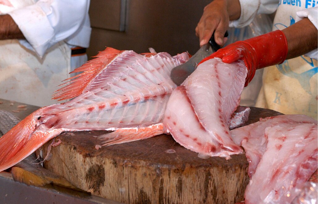 IMSS exhorta a cuidar ingesta de pescados y mariscos