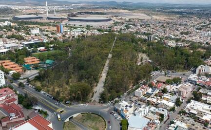 Asociación frena rehabilitación de parque de Morales de SLP; busca se respeten normas ambientales