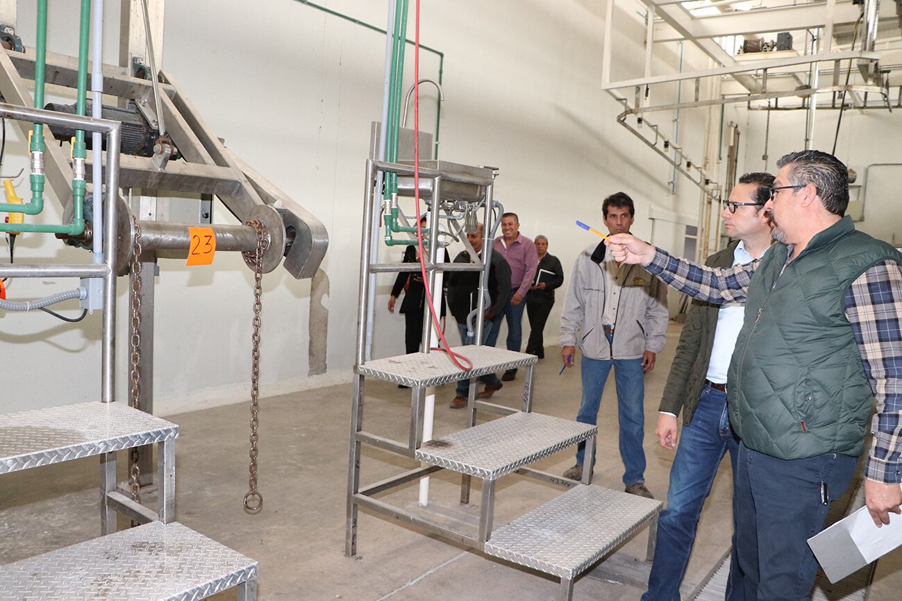 Rastro de Peñasco quedaría listo en dos semanas