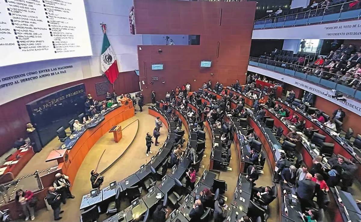 Comisiones del Senado inician debate sobre reforma a Guardia Nacional. Foto: EL UNIVERSAL