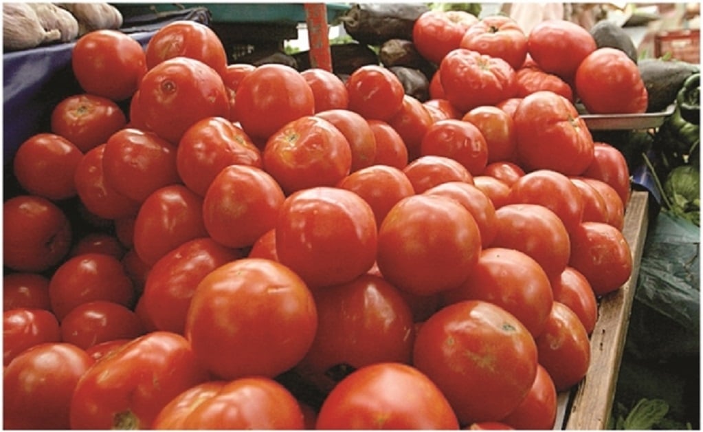 Impuesto al tomate mexicano impactará al consumidor estadounidense 