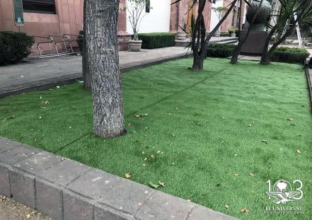 Cambian imagen de la explanada del edificio Presidente Juárez del Congreso del Estado