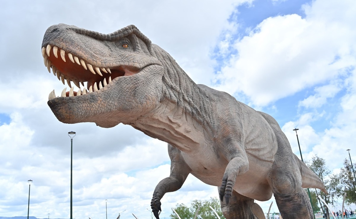 El parque y museo El Meteorito se ubica a dos horas de la capital potosina