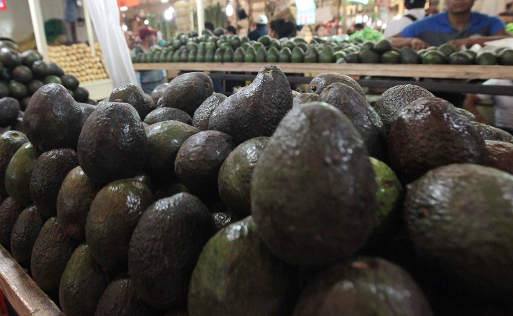 Hasta agosto podría regularse el costo del aguacate 