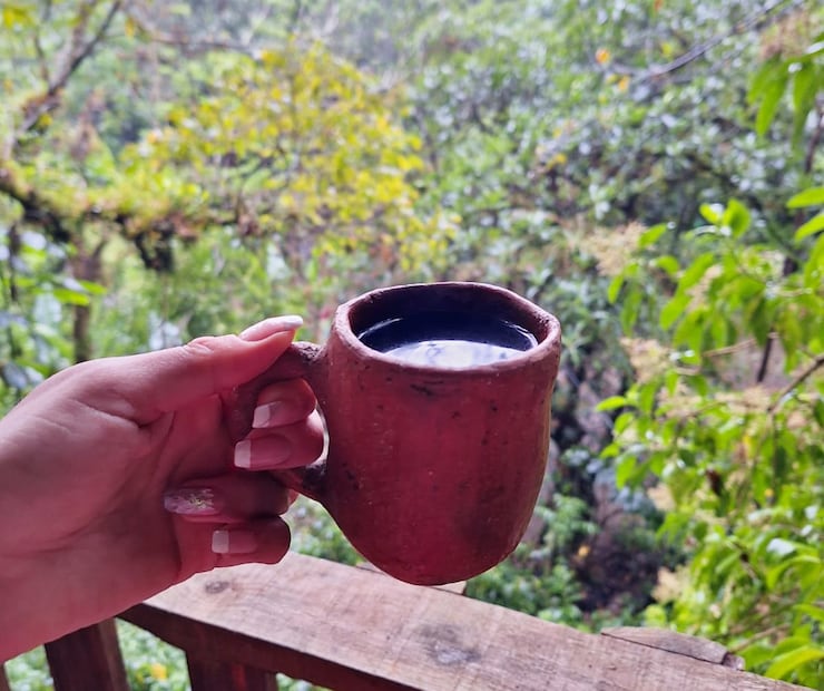 El café de Xilitla se caracteriza por provenir de plantaciones sustentables. Foto: Isela Hinojoza
