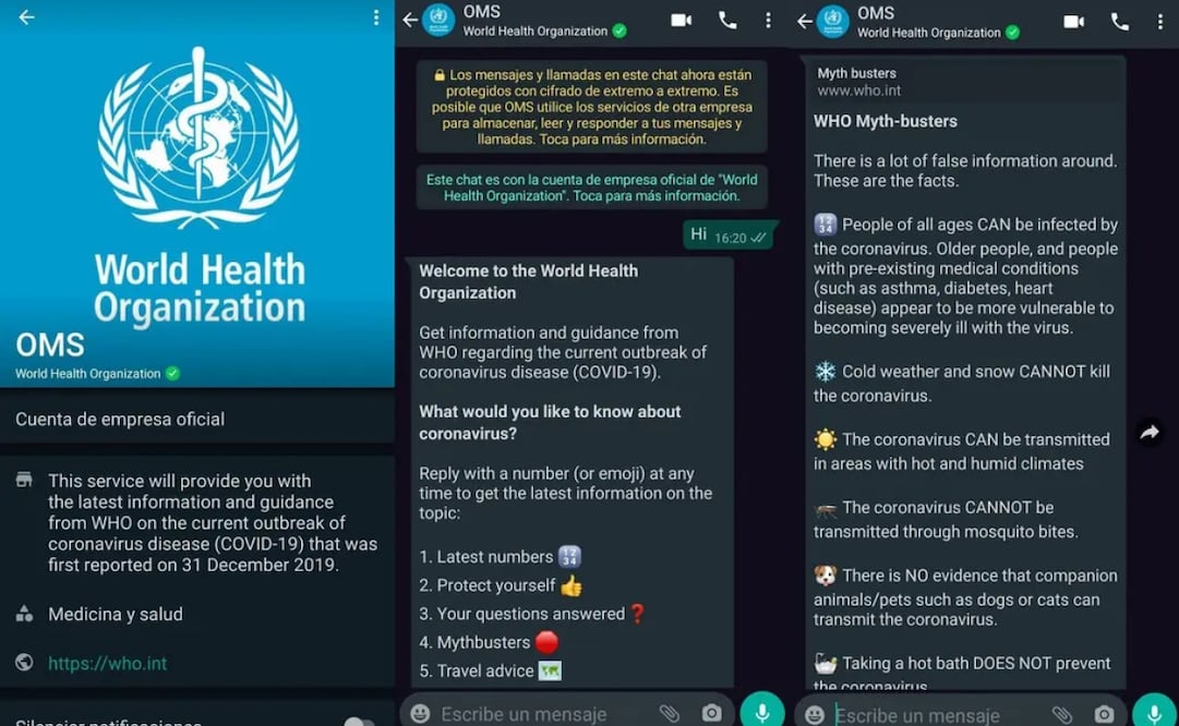 Foto: Captura de pantalla