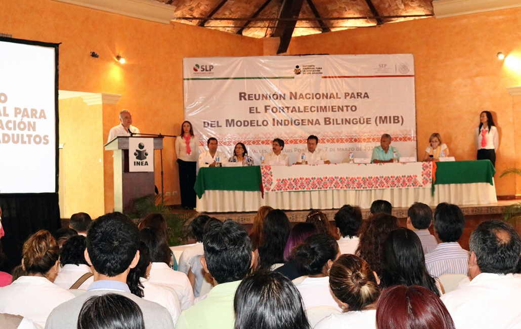 Índice de analfabetismo en SLP alcanzó 4.6 por ciento