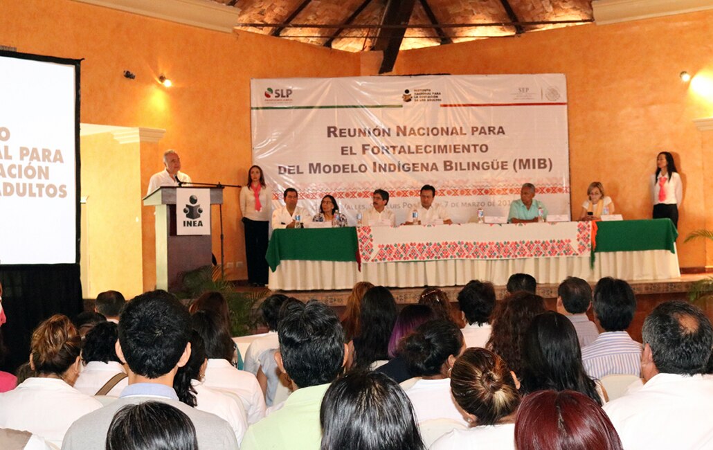 Índice de analfabetismo en SLP alcanzó 4.6 por ciento