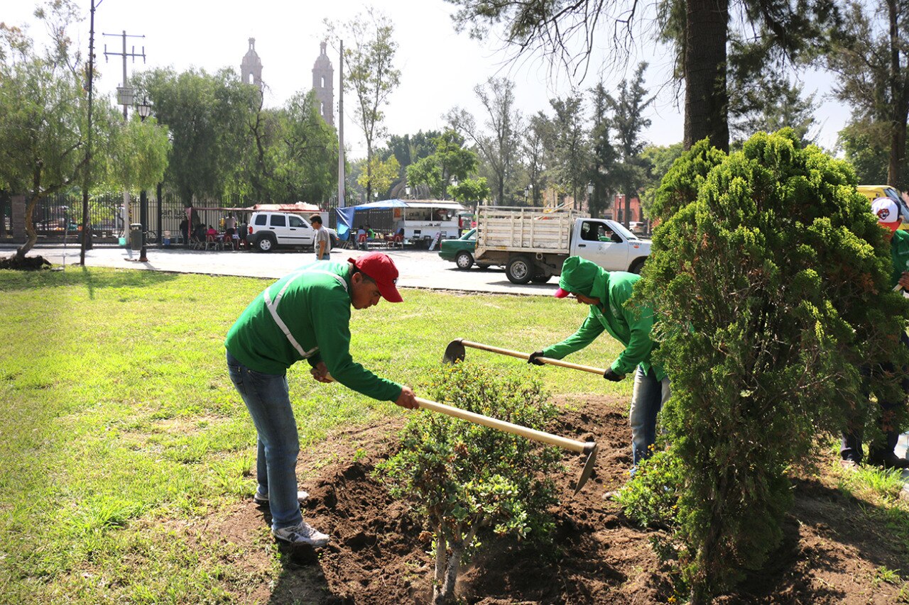 Intensifican rehabilitación de áreas verdes 