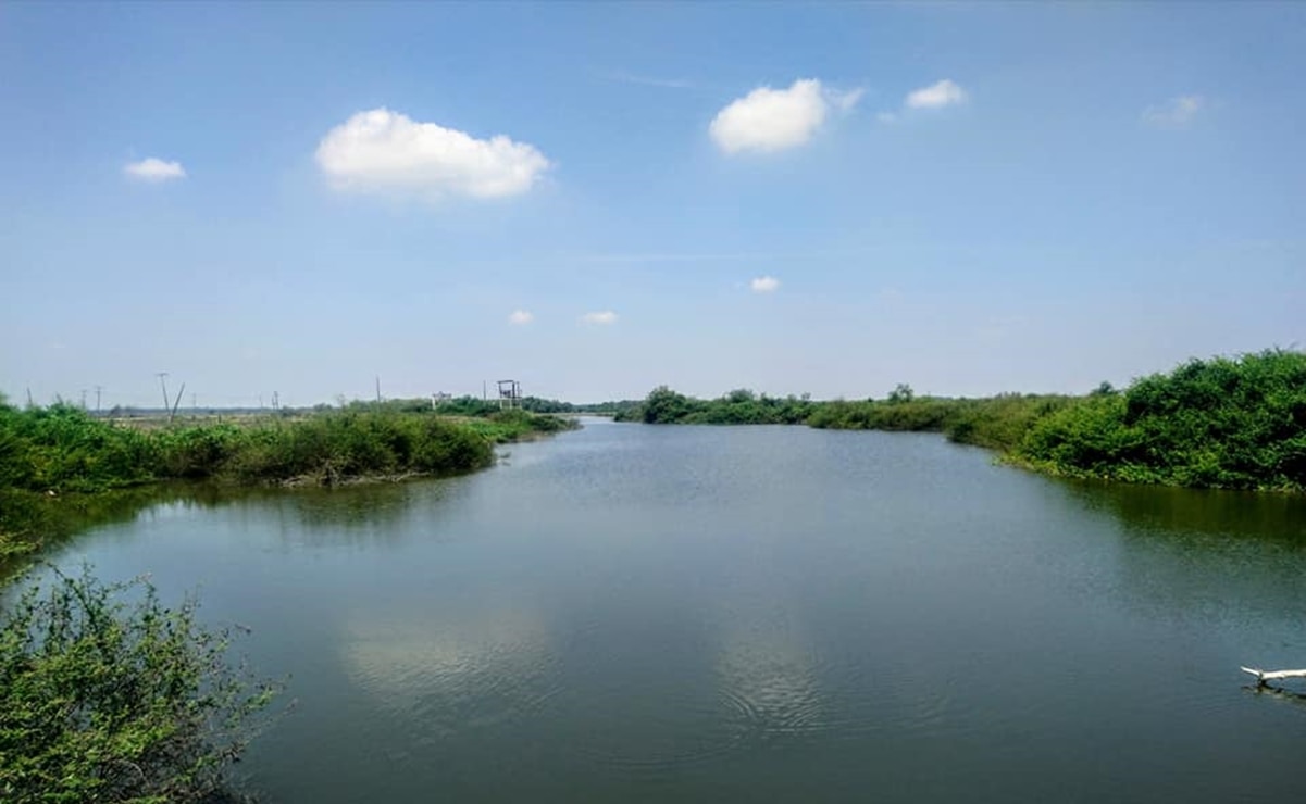 Cerro de la Pez, qué hacer en esta histórica laguna de Ébano, San Luis Potosí. Foto: No al Fracking en San Luis Potosí, FB