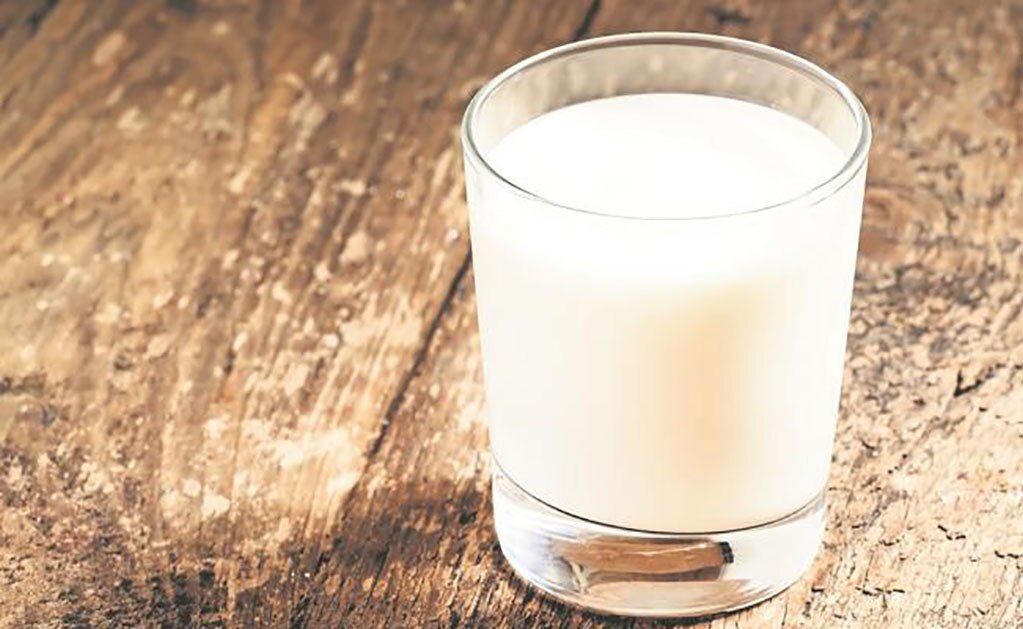 Dispositivo de bacterias lácticas para producir bebida tipo yogur