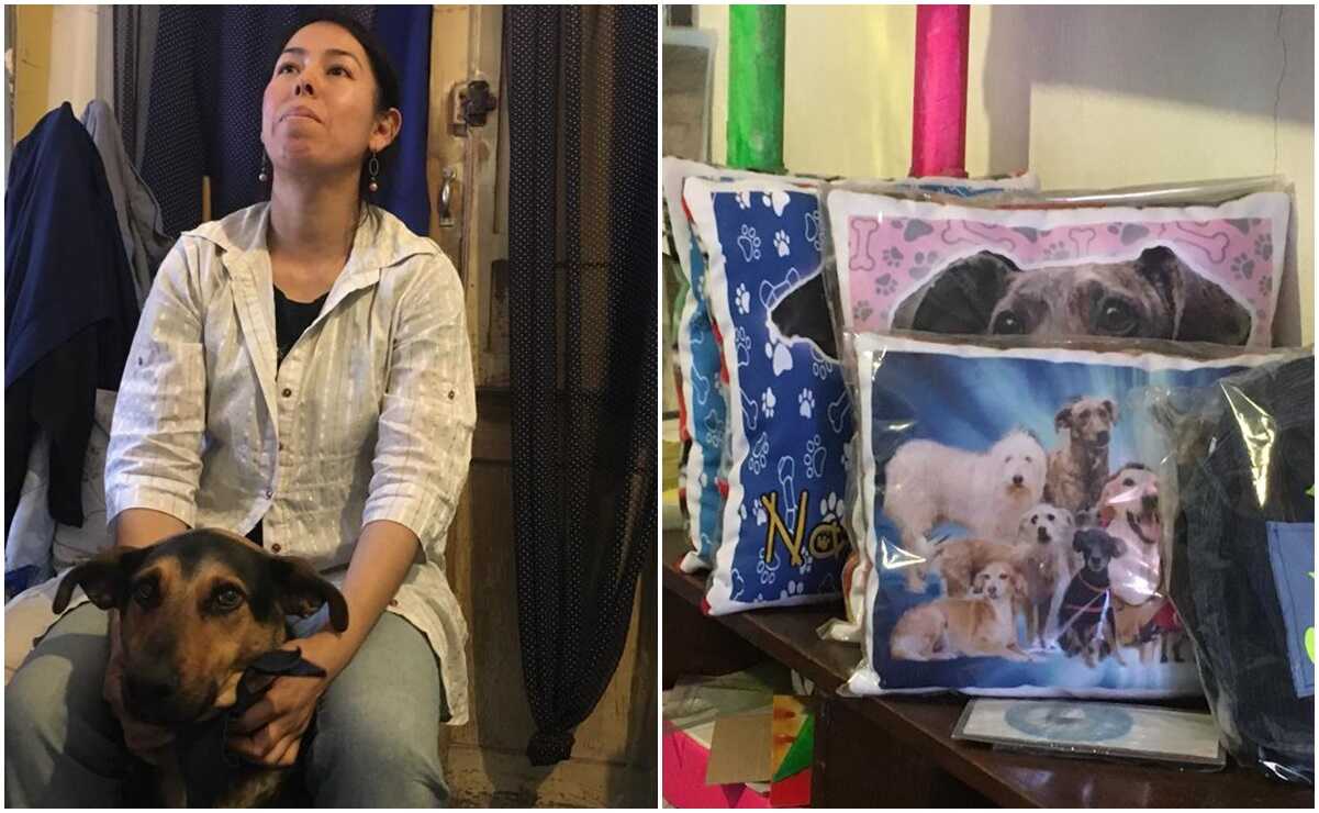 "Hola, soy Napoleón": un perrito rescatado se convirtió en emprendedor en el barrio San Miguelito. Fotos: Xochiquetzal Rangel