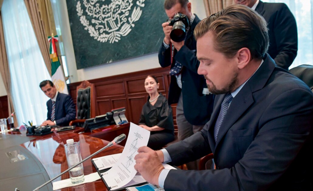 Reconocen a fundación de DiCaprio por la vaquita marina