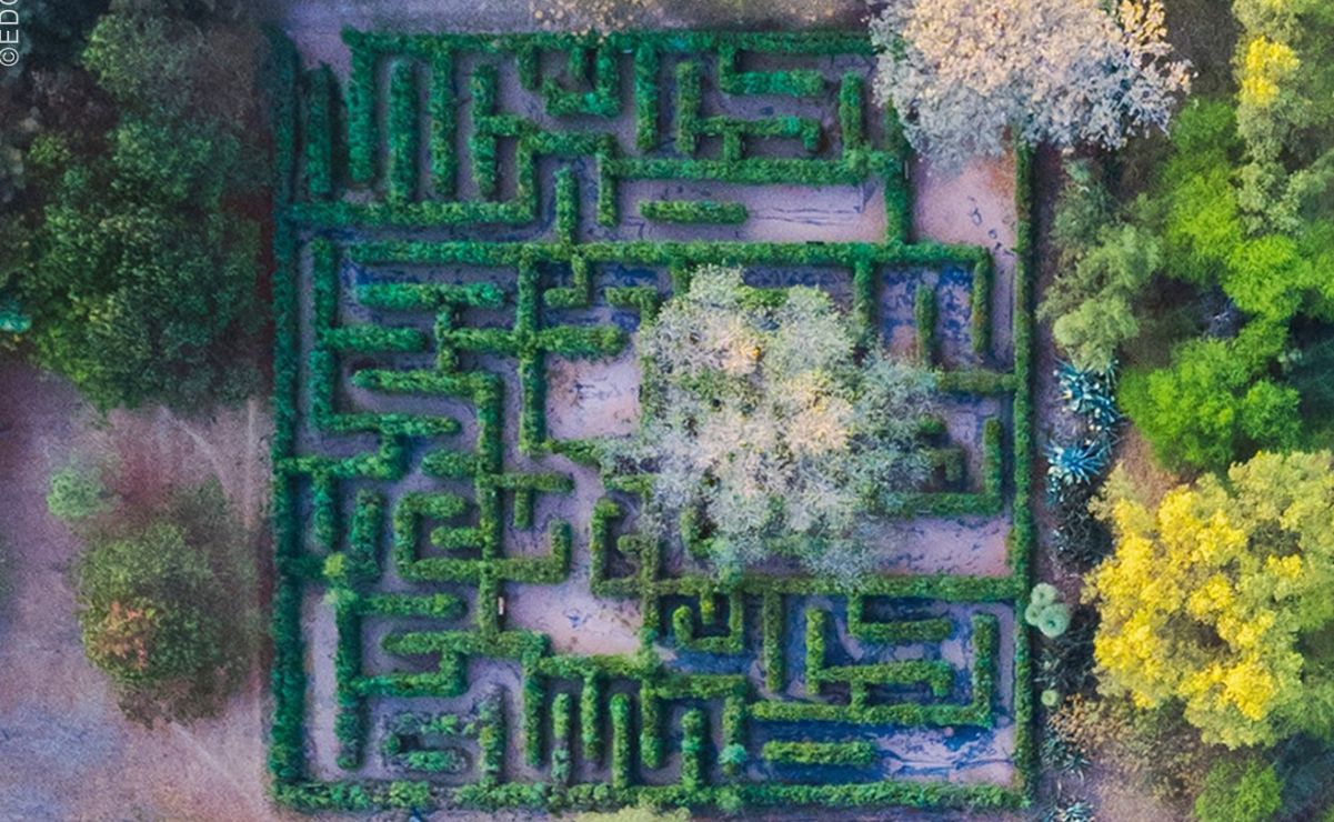 Explora el laberinto que te lleva por la historia, la introspección y naturaleza . Foto: EDGARFIA