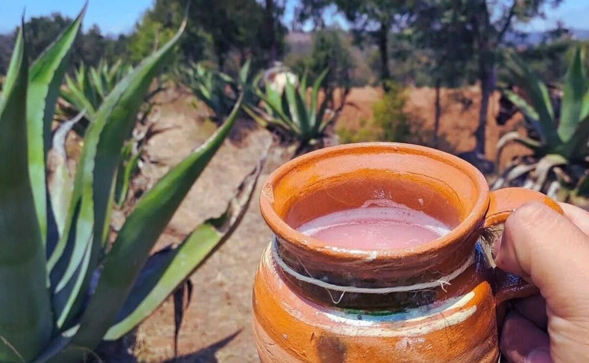 ¿Cuál es el pueblo del pulque en San Luis Potosí? 