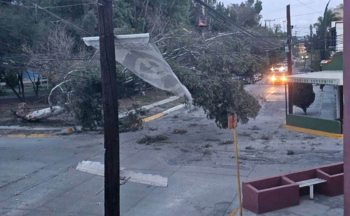 Siguen los ventarrones, Protección Civil pide evitar actividades al aire libre. Foto: Especial