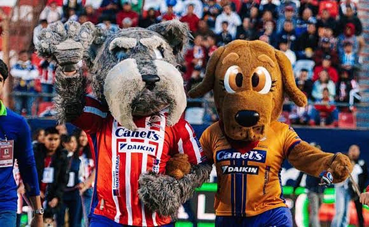 “Lucho” y "Tunita", por qué dos perros son las mascotas del Atlético de San Luis