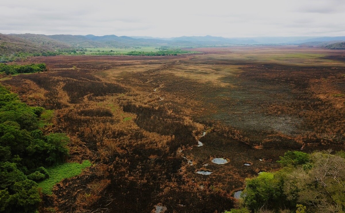 Ciénaga de Tamasopo, SLP, ha perdido al menos mil hectáreas de vegetación tras incendio forestal