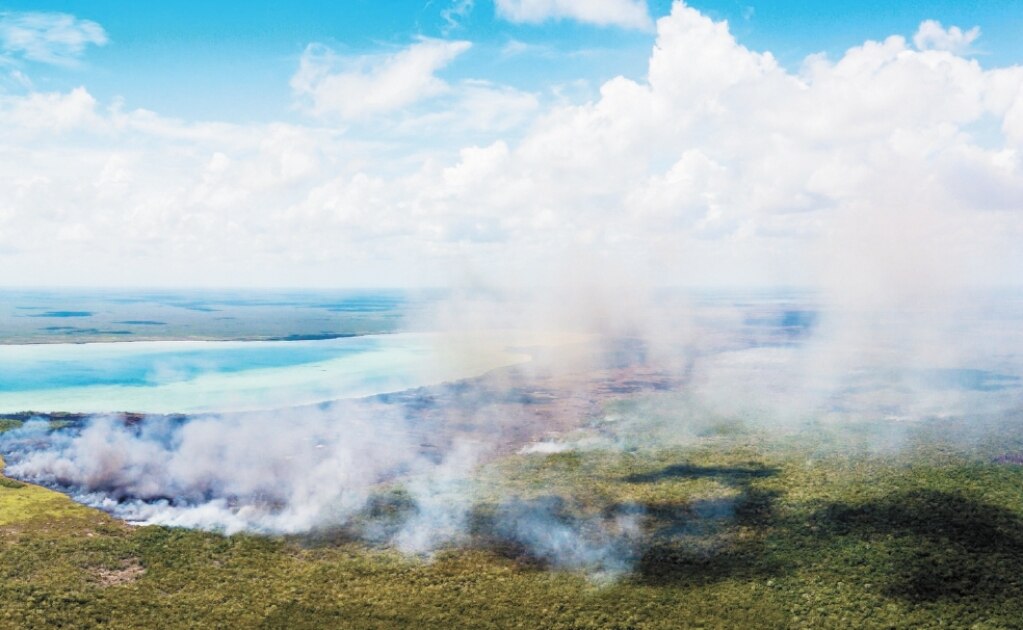 En riesgo, fauna de reserva Sian Ka’an por incendio
