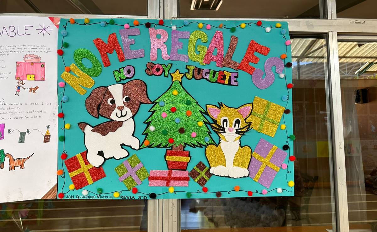 Niños de kinder en SLP lanzan campaña para evitar que se regalen mascotas esta Navidad 