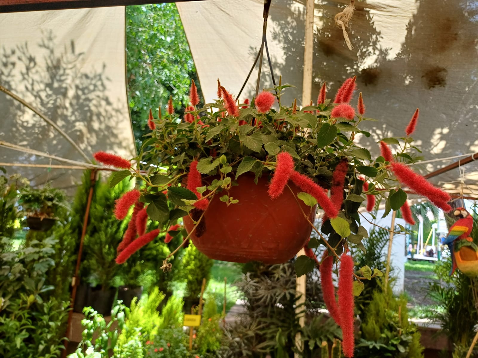 Foto: Humberto Torres