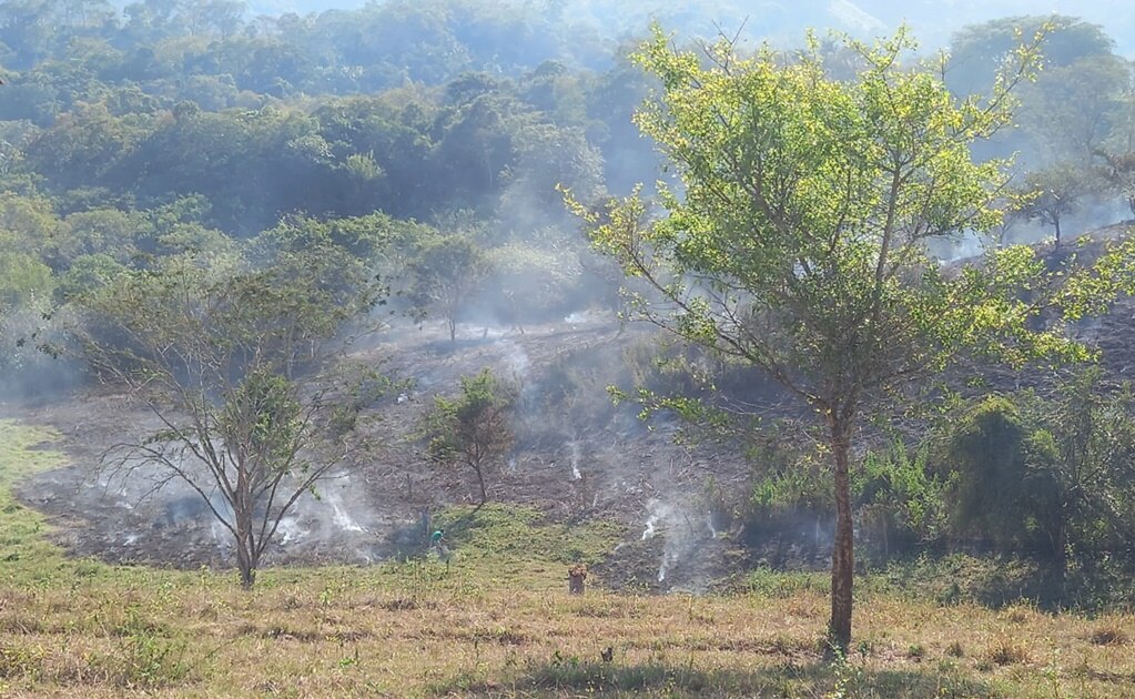 Atienden 15 incendios agrícolas durante primera semana del 2022 en San Luis Potosí