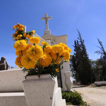 Panteones de la zona metropolitana de SLP estarán abiertos por Día de Muertos