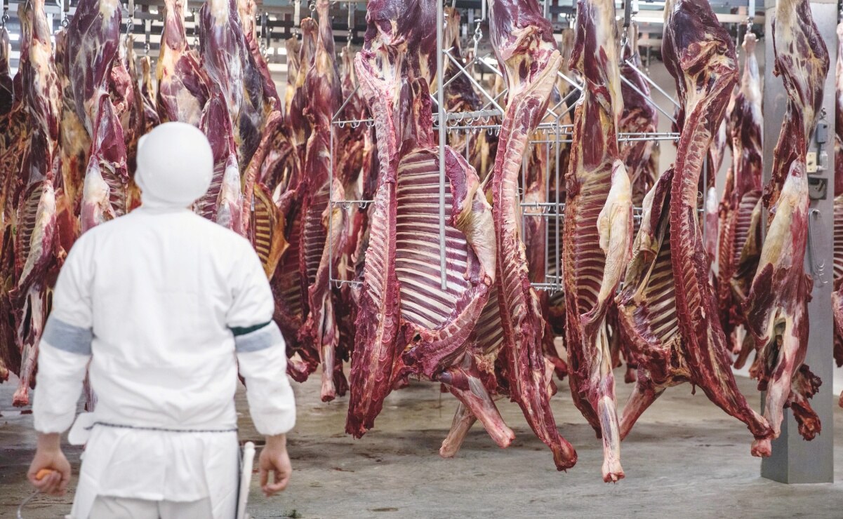 Matanzas en rastro de Soledad bajan un 30% durante contingencia sanitaria