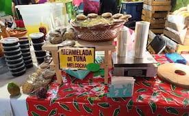 De la nieve al queso de tuna: los sabores tradicionales que conquistan San Luis Potosí