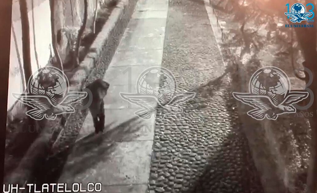 Captan momento en que hombre abandona maleta con cuerpo de Ingrid en Tlatelolco