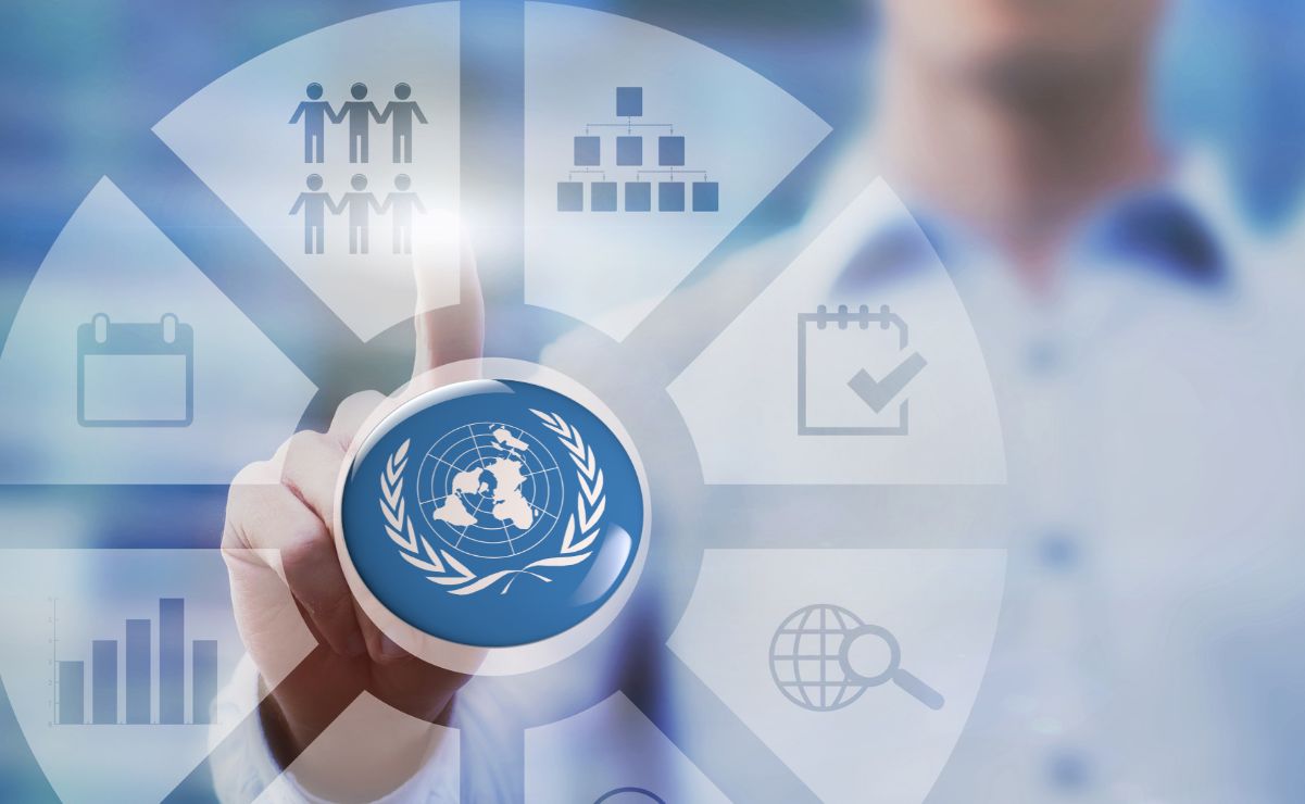 ONU ofrece empleo en San Luis Potosí. ¿Dónde registrarse para la vacante?