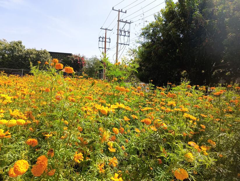 Foto: Jazmín Ramírez García