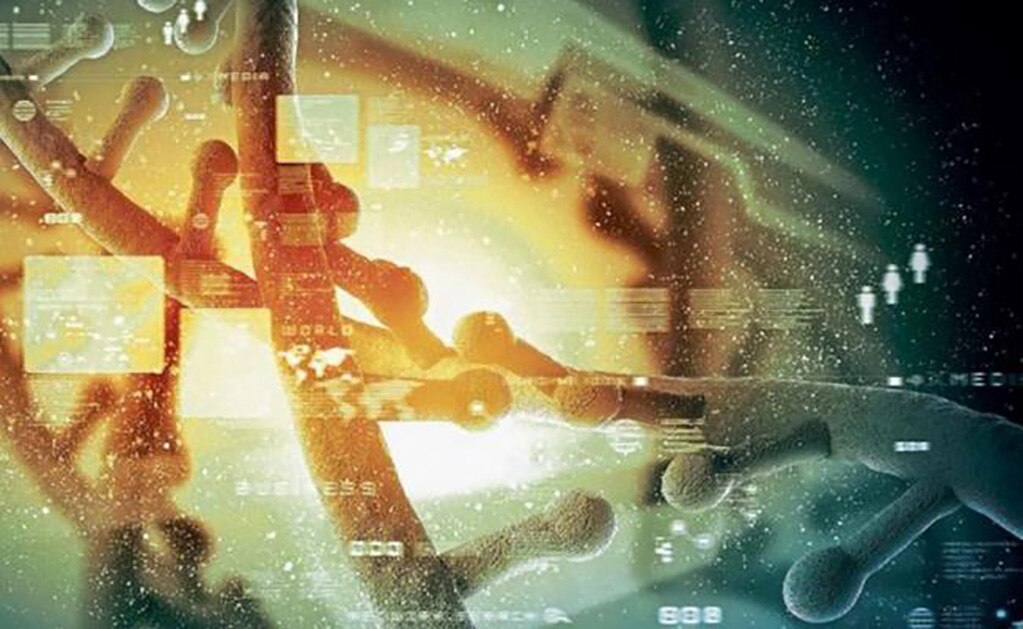 El ADN contiene la información para fabricar las proteínas en forma de una secuencia. La nueva estructura tiene cuatro filamentos. (FOTO: Especial)