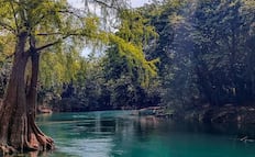 Río Coy en Tanlajás: ¿Cuánto cuesta sumergirse en las aguas turquesa de la Huasteca potosina?