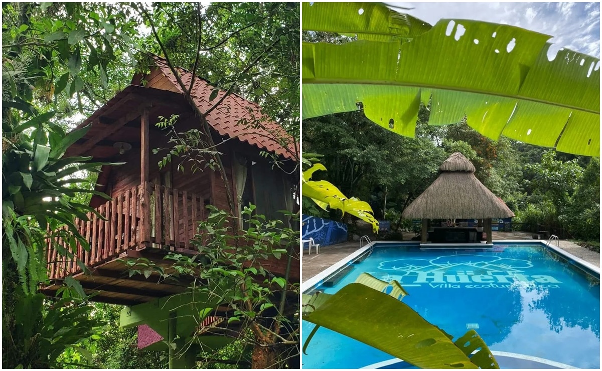 Villa Ecoturística La Huerta, una experiencia de conexión y aprendizaje de la naturaleza en Xilitla, SLP